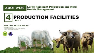 Large Ruminant Housing System