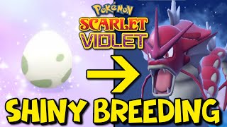 How To Shiny Hunt Using The Masuda Method in Pokemon Scarlet \& Violet! Easy Shiny Breeding Guide!