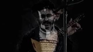 Hasret Gültekin / Sevgi Kuşun Kanadında