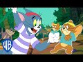 Tom & Jerry | Tom Saves Jerry, the Jungle Style! | WB Kids