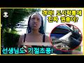 유치원 교사 기절초풍! 아이 도시락에서 튀어나온 진짜 총  - 미국 경찰