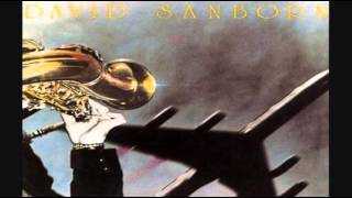 David Sanborn Funky Banana 1975