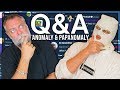 ANOMALY AND PAPANOMALY Q&A