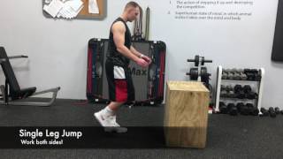 FREE VERTICAL JUMP TRAINING!!! Box Jump Workout