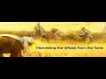 SOON HOSPITALS WILL NOT BE SAFE TO GO WHEAT TARES SEPARATED SPIRITUAL PHYSICAL WAR WILL EMERGE SOON HOSPITALS WILL NOT BE SAFE TO GO WHEAT TARES SEPARATED SPIRITUAL PHYSICAL WAR WILL EMERGE