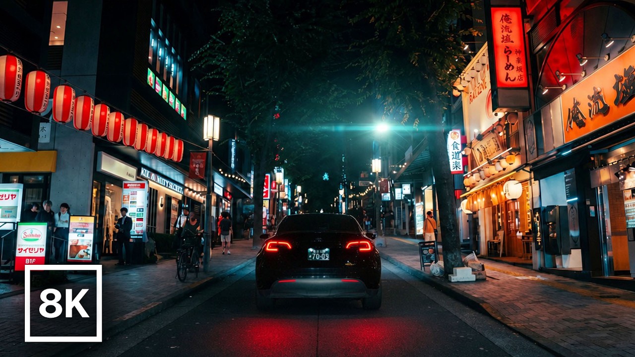 Japan at Night in 8K You Have to See This