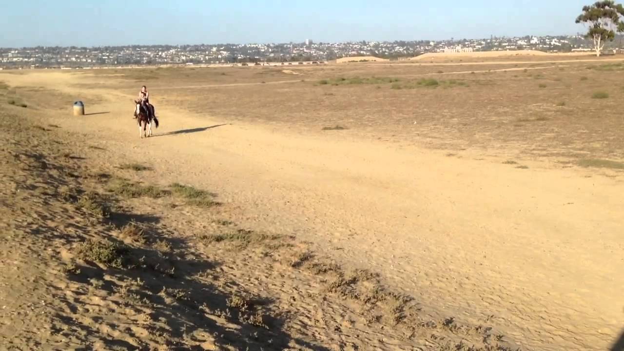 Bodhi Ride A Horse In Fiesta Island