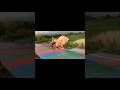 slide #shorts #funny