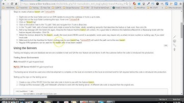 Branching in SVN and Setting up Testing and Staging Enviroment