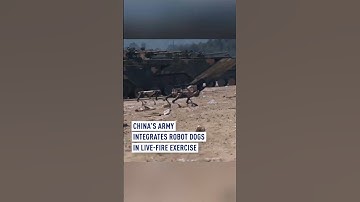 China’s army integrates robot dogs in live-fire exercise