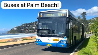 Weekend Buses at Palm Beach | Bus Vlog #24