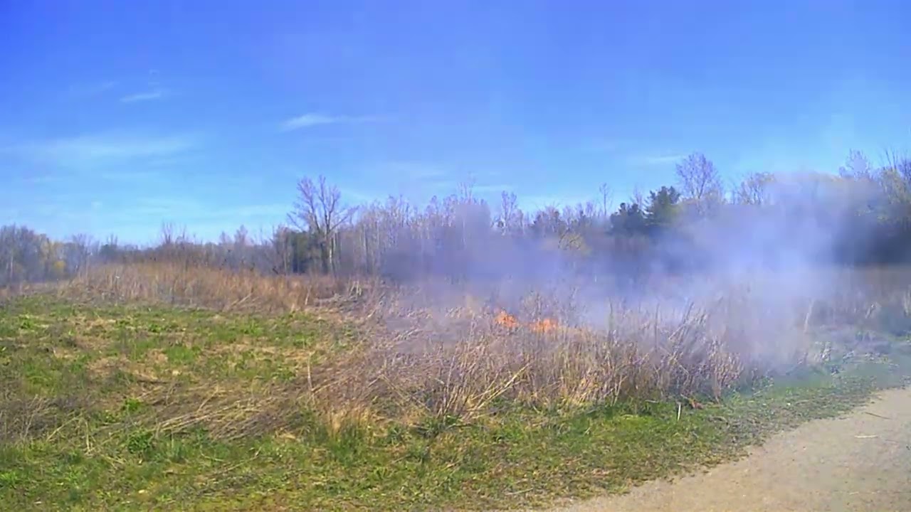 Malcolmson Eco Park Restoration Burn April 2024