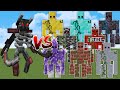 SUPER Wither Skeleton vs ALL GOLEMS in Minecraft Mob Battle