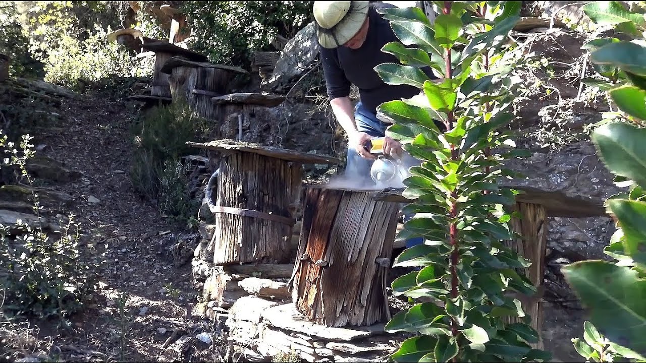 E-Conférence Abeilles en liberté #2 - La Ruche Tronc