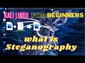 Steganography Explained for Beginners: Hide Messages in Images Using Kali Linux 📸