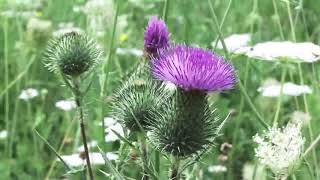 Ki̇m Ne Derse Desi̇n Umurumda Mi ?