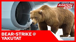 Alaska Airlines hits BEAR on Runway!