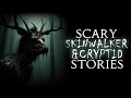 2 Hours of Scary Skinwalker &amp; Cryptid Creature Stories Told in the Rain | Horror Stories for Sleep