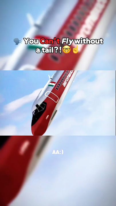 🗣️ You Can’t Fly Without a Tail?!🤓☝️ - Japan Airlines Flight 123🥶