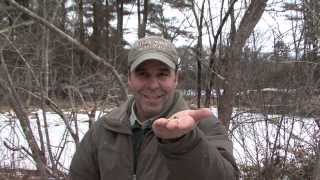 Exploring Wildlife of Winter by nwwmark 1,205 views 10 years ago 6 minutes, 22 seconds