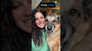 dogs compilation. #dogs #funny