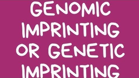 Genomic Imprinting