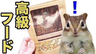 シマリスまめたの誕生日高級フードをプレゼントしてみた/Chipmunk Mameta eats 'premiere' food ?