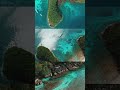 Bali ,DJI air 2s