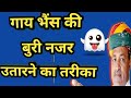 गाय भैंस को बुरी नजर से बचाने का तरीका|gaay bhains ko buri najar se bachane ka tarika