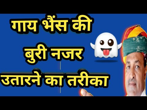 वीडियो: सबसे कठिन पशु चिकित्सा पाठ