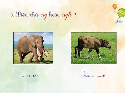 Chính tả 1: Cái Bống (Thứ năm, ngày 23/4/2020) - Tuần 26