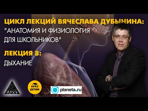 Вячеслав Дубынин: Дыхание" (Лекция 8)