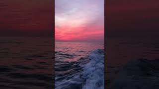 Famous They all get exposed #fyp #sunset #lucki #viralvideo Profile
