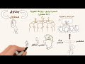 ليه الصلاة تقيلة عليك ملخص كتاب فاتتني صلاة إسلام جمال 