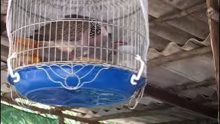 anh em nao thich lh 0944652913