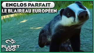 Les Blaireaux Européens (Et les Terriers) | LES ENCLOS PARFAITS : EPISODE 48 | PLANET ZOO