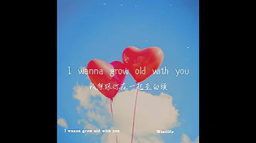 I wanna grow old with you - Westlife.