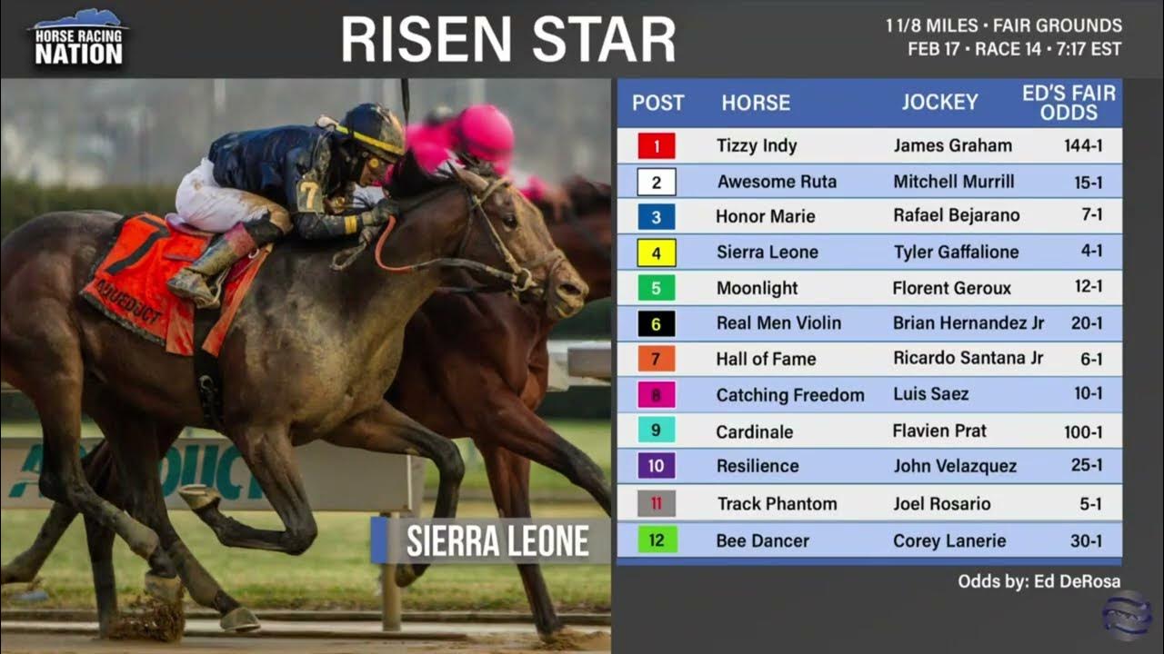Fair Grounds Risen Star Stakes pick 3 fair odds report YouTube