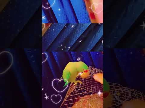 🤍💞