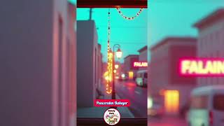 Pencereden Bakıyor Roman Almış Okuyor