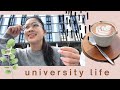 day in the life of a university student in sydney *stress*