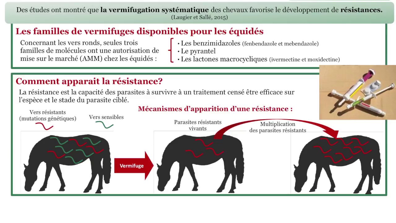 UNE VERMIFUGATION RAISONNÉE DU CHEVAL