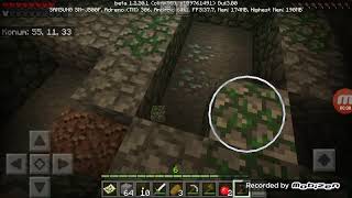 Spawn Pointin Altın Da Elmas Buldum. Minecraft