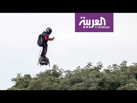 فيديو: إلى أي مدى يمكن للجندب أن يطير؟