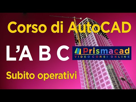 Video: Come utilizzare lo strumento Pennello in Adobe Illustrator