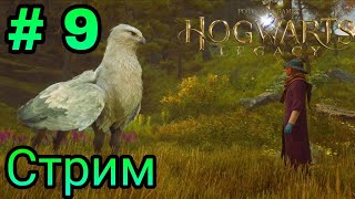 видео: СТРИМ # 9 - HOGWARTS LEGACY - ПРИРУЧЕНИЕ МИЛЫХ ЗВЕРУШЕК  - МАКСИМАЛЬНАЯ СЛОЖНОСТЬ картинка: СТРИМ # 9 - HOGWARTS LEGACY - ПРИРУЧЕНИЕ МИЛЫХ ЗВЕРУШЕК  - МАКСИМАЛЬНАЯ СЛОЖНОСТЬ