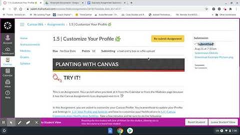 Salem Schools - Canvas Submit Assignment and Quiz Instructional Video