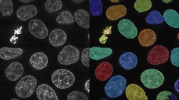 3D analysis with CellProfiler 3.0