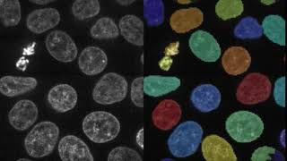 3D analysis with CellProfiler 3.0