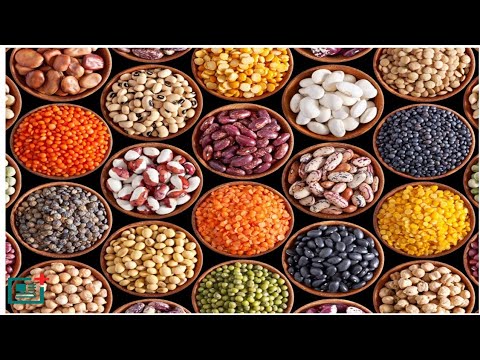 8 Healthiest Beans You Can Eat For Bodybuilding [ - YouTube